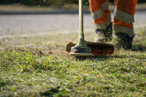 Nega zelenih površina
